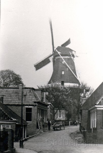Molen Adam rond 1900 1.jpg